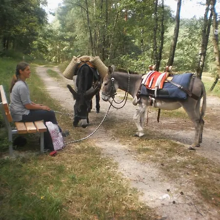 Het Jaegershoes Lodge *