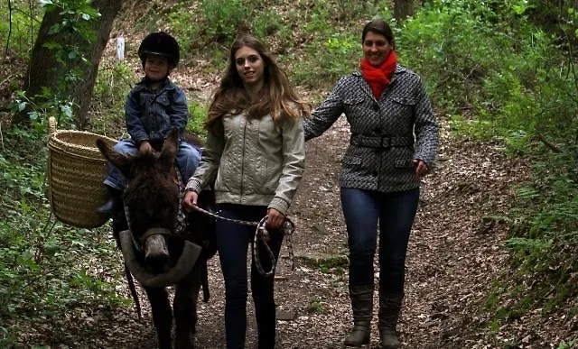 Het Jaegershoes * Belfeld