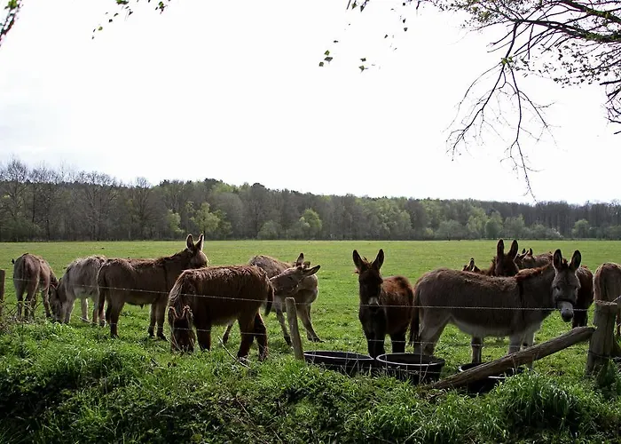 Деревянный коттедж Het Jaegershoes