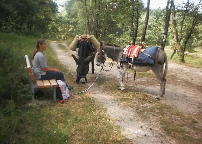 Het Jaegershoes Деревянный коттедж *